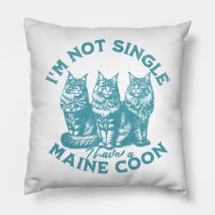 I'm not single, I have a Maine Coon Pillow