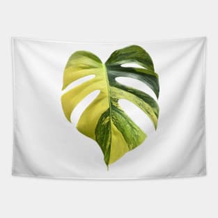 Colorful Variegated Monstera Deliciousa Aurea Design Tapestry