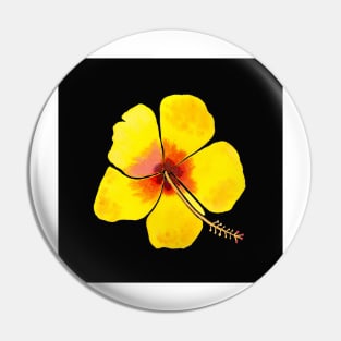 Yellow Hibiscus Flower with a black background Pin