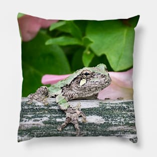 Grey Tree Frog Hangin' Pillow