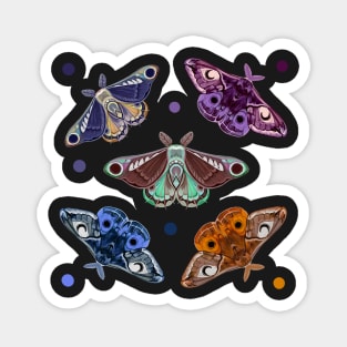 Moth sticker set 1 Magnet