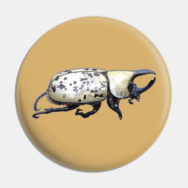 Goliath Beetle Pin by Nature Hike