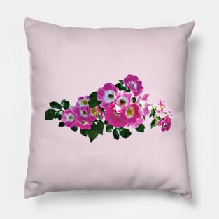 Pink Rambler Rose Pillow