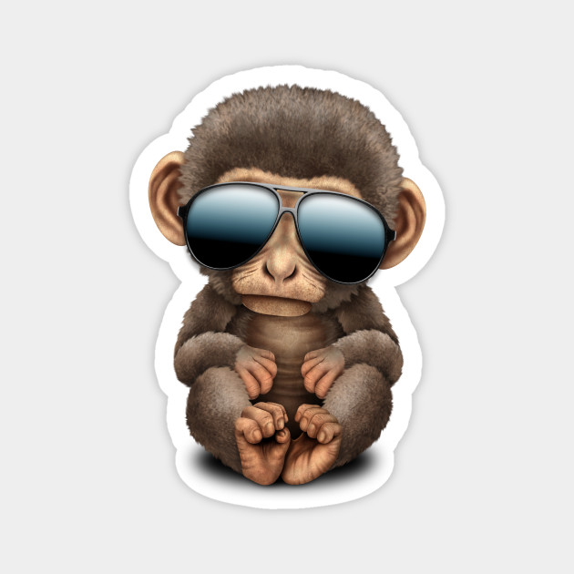 Cute Baby Monkey Wearing Sunglasses Baby Monkey Magnet Teepublic