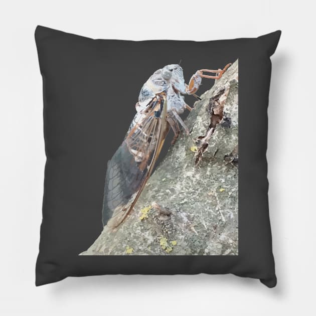 Cicada Insect Vector Pillow by taiche