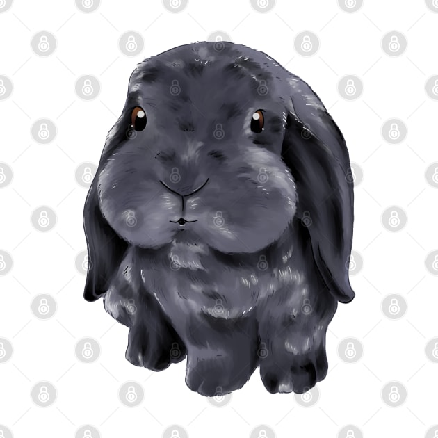 Blue Holland Lop Rabbit | Bunniesmee by GambarGrace