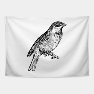 Bird Sparrow Hand Drawn Tapestry