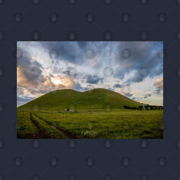 Golden hour at Mount Elephant, Derrinallum, Victoria, Australia by VickiWalsh