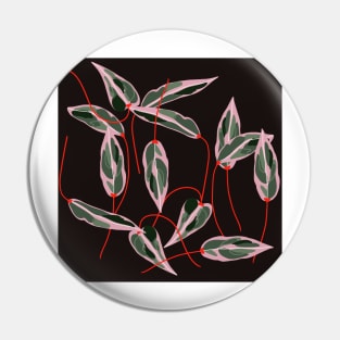 Calathea Pin