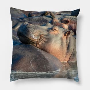 Hippo at Rest in Water with Friends Pillow