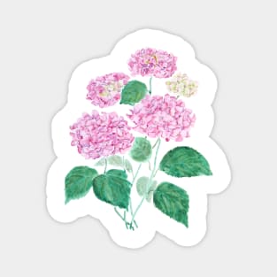 pink hydrangea watercolor Magnet