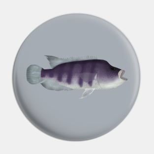 Wolf Cichlid Pin