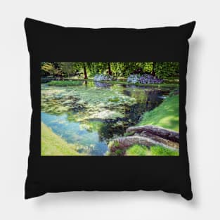 St Fagans Lake Pillow