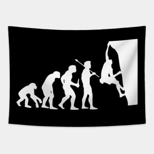 The Evolution Of Boulder Rock Climbing Design Tapestry