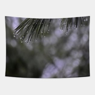 Pine Branch Border Tapestry