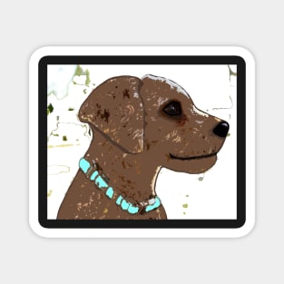 Cute brown dog, turquoise collar Magnet