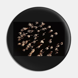 Dandelion shaped fireworks Pin