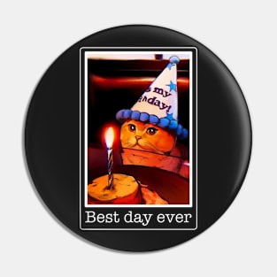 Cat meme birthday funny cake, best day, it's my party Pin