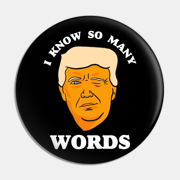 Funny Anti Trump "I Know So Many Words" Pin by isstgeschichte