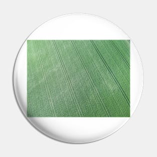 Aerial view of green field of grain Pin