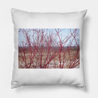 Red Vines in Winter Pillow