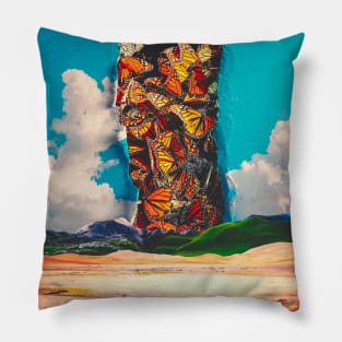 The Find In The Desert Pillow