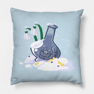 January Potion Pillow