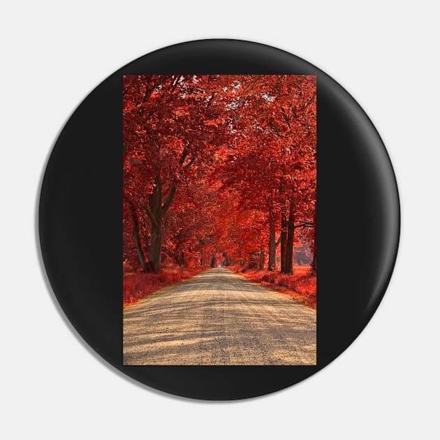 Wye Island Ruby Road Pin by somadjinn