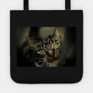 Tilly Tote