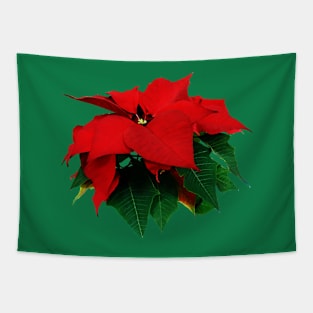 Poinsettias - Poinsettia and Leaves Tapestry