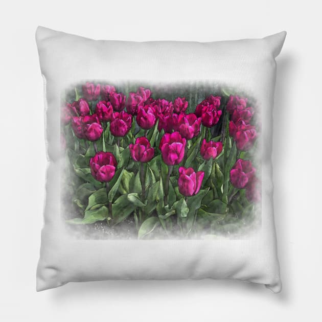 Family Of Red Tulips Pillow by KirtTisdale