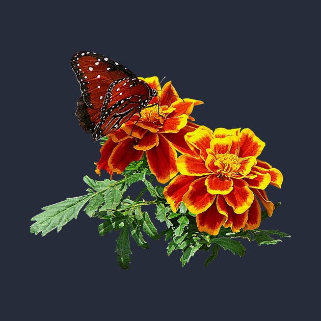 Butterflies - Queen Butterfly On Marigold by SusanSavad