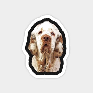 Clumber Spaniel Looking Gorgeous! Magnet