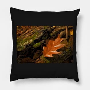 Autumn&#39;s Last Goodbye Pillow