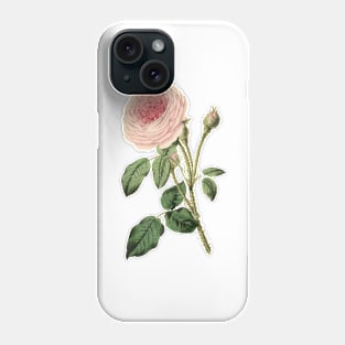 Pink Rose Flower Vintage Botanical Illustration Phone Case