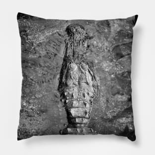 Life Relic Pillow