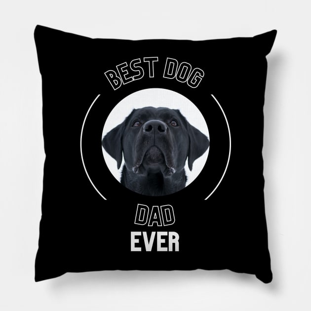 Best Dog Dad  Ever Pillow by EvetStyles