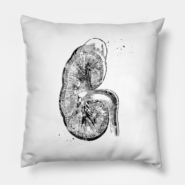 Kidney section Pillow by erzebeth