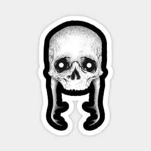 Skull head Magnet