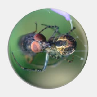 Spider And Fly Pin