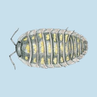 Armadillidium depressum Isopod T-Shirt