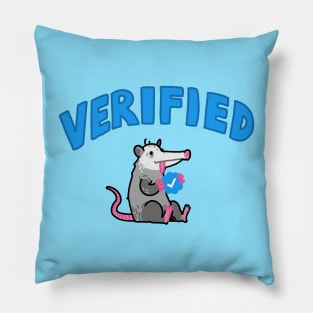 Verified Trash Pillow