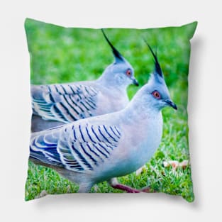 Pair of Crested Pigeons Pillow