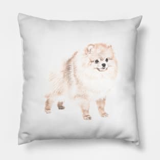 Pomeranian Dog Pillow