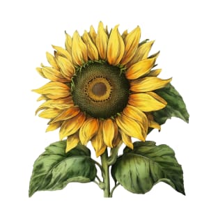 Vintage Sunflower T-Shirt