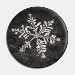 Freshly Fallen Snow Flake. Macro Photography Pin