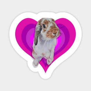 Gorgeous Leonard bunny on a pink rainbow heart! Magnet