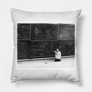 Richard Feynman, theoretical physicist (C026/0999) Pillow