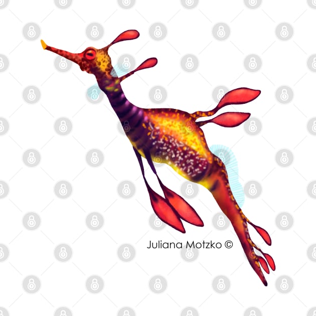 Weedy Seadragon by julianamotzko