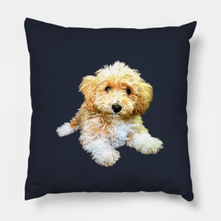 Golden doodle labradoodle cavoodle cavapoo poodle mix Pillow